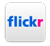 Flickr Icon