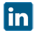 LinkedIn Icon