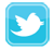 Twitter Icon